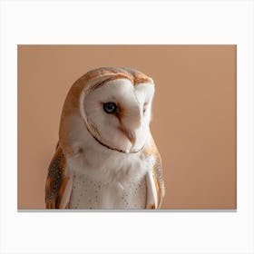 Barn Owl 11 Canvas Print