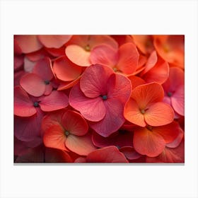 Hydrangeas Canvas Print