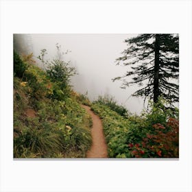 Misty Forest Path Canvas Print