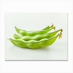 Pea Pods Canvas Print