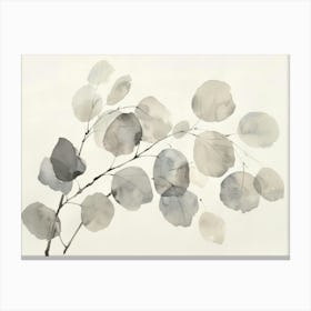 Eucalyptus Leaves 3 Canvas Print