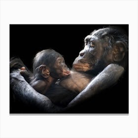 Chimpanzee With Baby Canvas Print
