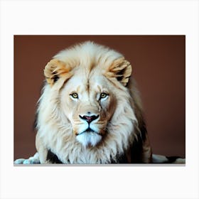 Lion Portrait 37 Canvas Print