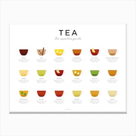 Tea Guide Landscape Minimal Canvas Print