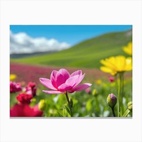 Tulip Field Canvas Print