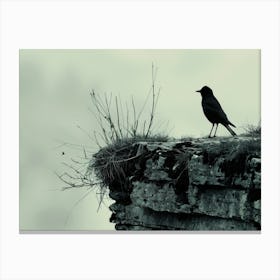 Crow On Cliff 2 Canvas Print