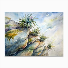 Air Plants On The Rocks Stampe su tela