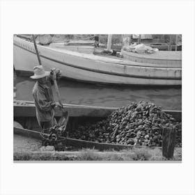 Untitled Photo, Possibly Related To Unloading Oysters From Fisherman S Boat, Olga, Louisiana By Russell Lee Canvas Print