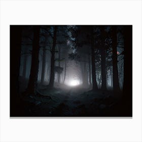 Dark Forest At Night Canvas Print