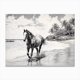 A Horse Oil Painting In Lanikai Beach Hawaii, Usa, Landscape 2 Canvas Print