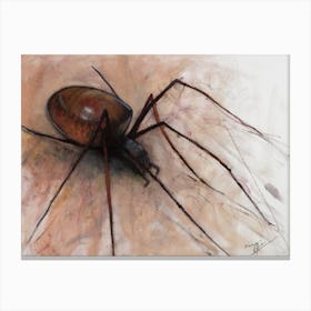 Spider Canvas Print