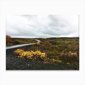 Fall In Iceland Canvas Print