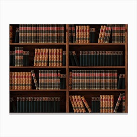 Books Bookshelf Bookcase Library Canvas Print