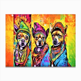 Mexican Chihuahuas - Three Chihuahuas Canvas Print