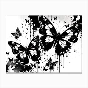Black And White Butterflies 2 Canvas Print