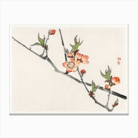 Peach, Kōno Bairei Canvas Print