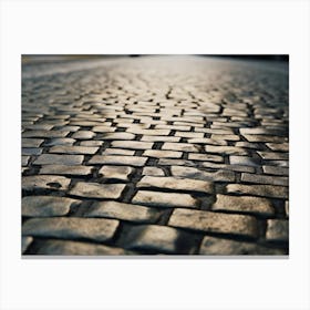 Cobblestone Road 4 Canvas Print