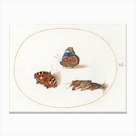 Small Tortoiseshell And Red Admiral Butterflies With A Mole Cricket (1575 1580), Joris Hoefnagel Canvas Print