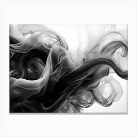 Fluid Dynamics Abstract Black And White 1 Canvas Print