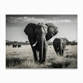 Elephants In The Savannah Canvas Print