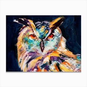 Colorful Owl Canvas Print