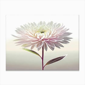 Chrysanthemum Canvas Print