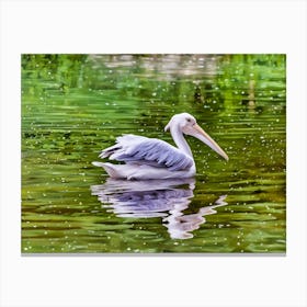 Serene Pelican on Reflective Waters. A majestic pelican calmly glides across tranquil green waters, its elegant form mirrored in the gentle ripples. The image captures a peaceful moment of harmony between the bird and its serene aquatic environment. Canvas Print