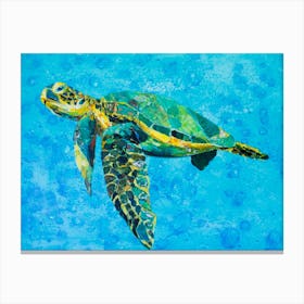 Floating Green Sea Turtle Canvas Print