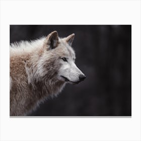 Beige Wolf Profile Canvas Print