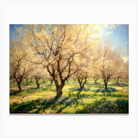 Blossoming Orchard 2 Canvas Print