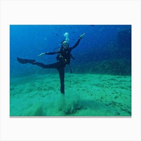 Diving ballerina Canvas Print