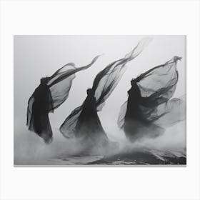 Black And White Painting 5 Canvas Print