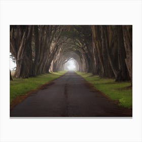 Road Through the Tree Tunnel Canvas Print