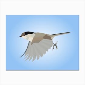 Bird In Flight Canvas Print