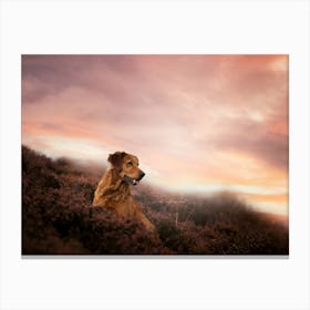 Golden Retriever in the heather field - Penthill Edinbrugh Scotland UK dog photo print - moody animal photography Canvas Print