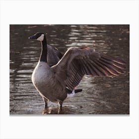 Goose Flapping Wings Canvas Print