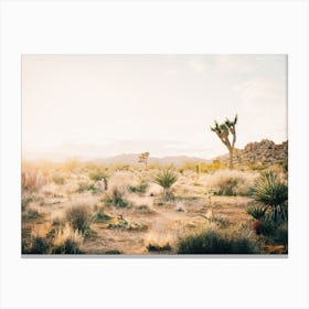 California Desert Canvas Print