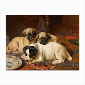 Dinner, Two Pugs And A Terrier, Horatio Henry Couldery Canvas Print