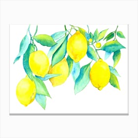 Lemons On A Branch Watercolor Canvas Print