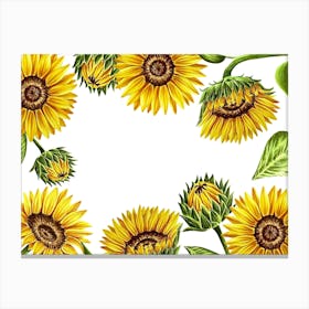 Sunflowers Frame Canvas Print