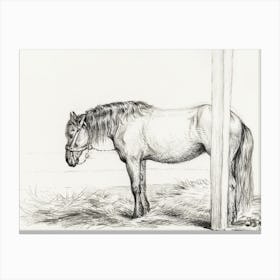 Standing Horse (1817), Jean Bernard Canvas Print