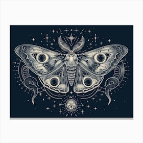 Moth illustration 16 Canvas Print