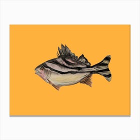 Orange Stripe Fish Illustration Lienzo