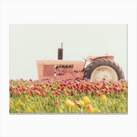 Tractor In Tulip Field Canvas Print