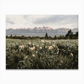 Teton Valley Flowers Canvas Print