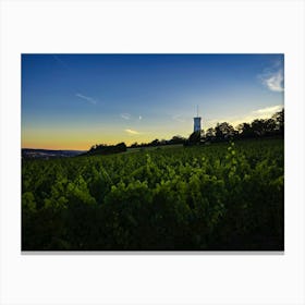 Sunset In A Vineyard Canvas Print