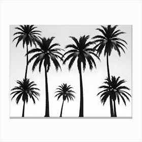 Silhouette Of Palm Trees On White Background Canvas Print