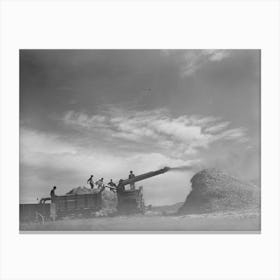 Threshing Wheat Near Questa, New Mexico By Russell Lee Canvas Print