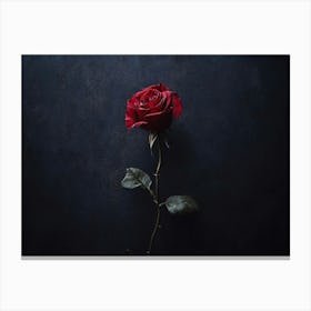 Single Red Rose Canvas Print