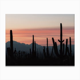 Cactus Sunset Silhouette Canvas Print